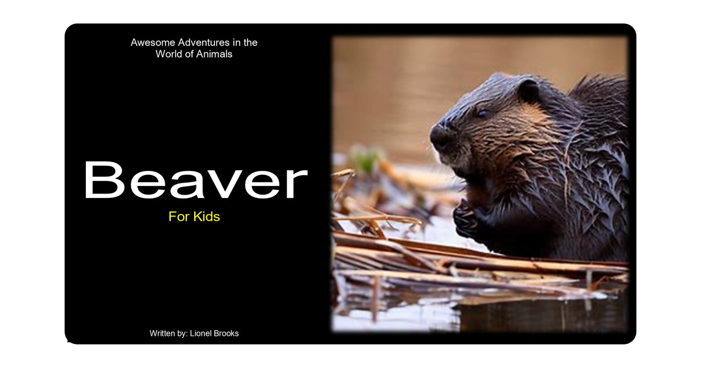 Awesome Adventures in the World of Animals Beaver
