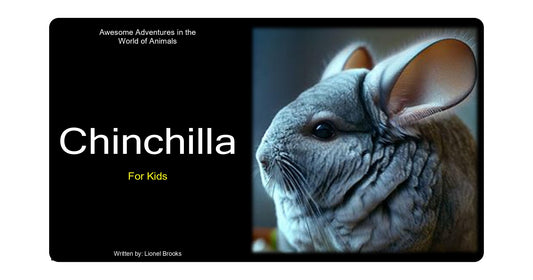 Awesome Adventures in the World of Animals Chinchilla