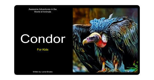Awesome Adventures in the World of Animals Condor