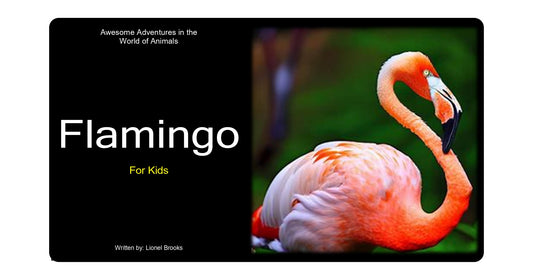 Awesome Adventures in the World of Animals Flamingo
