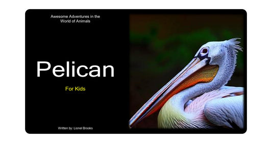 Awesome Adventures in the World of Animals Pelican