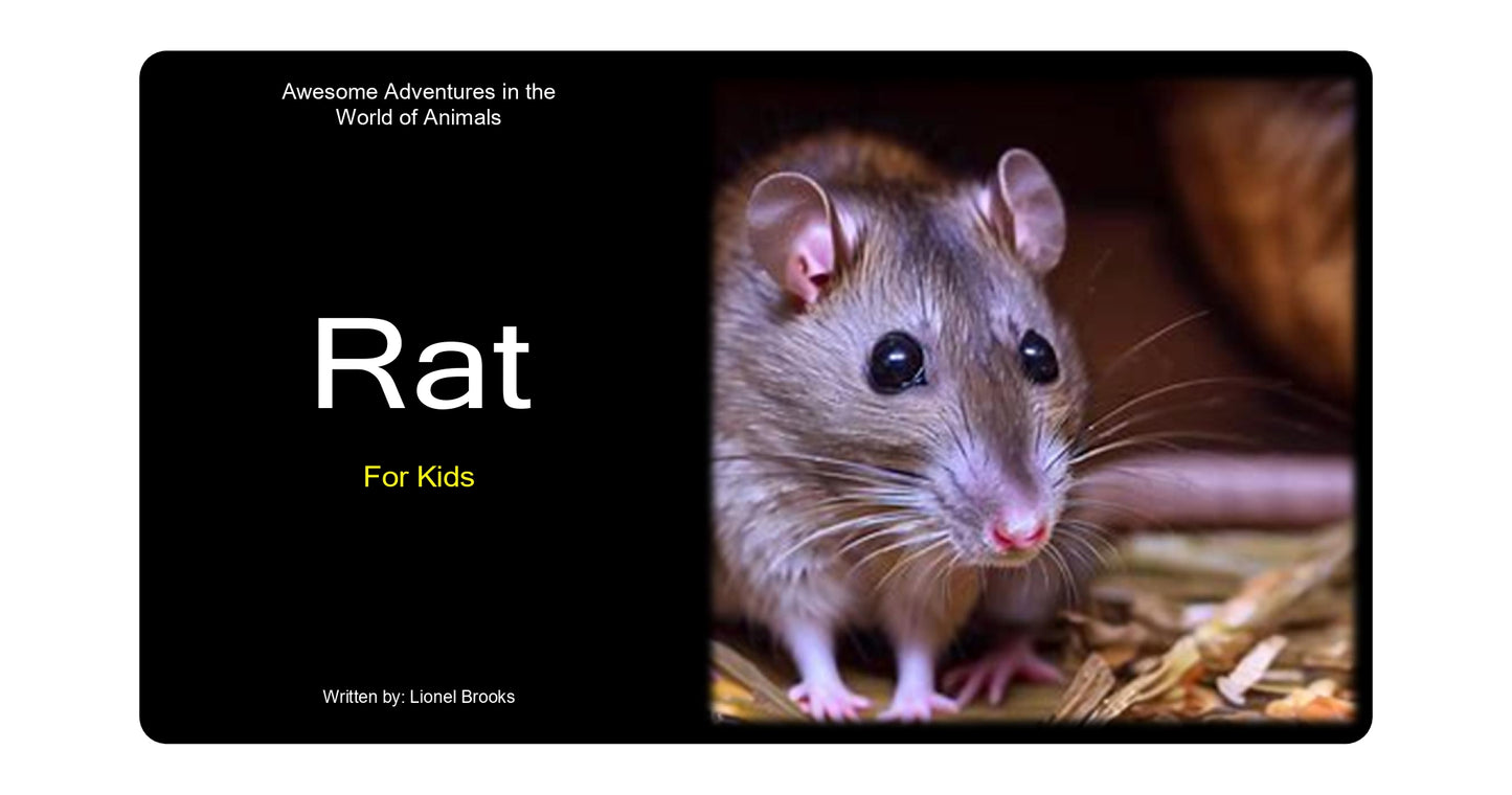 Awesome Adventures in the World of Animals Rat