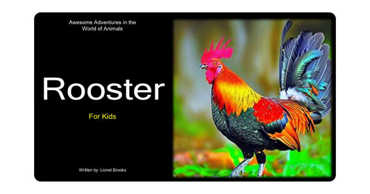 Awesome Adventures in the World of Animals Rooster