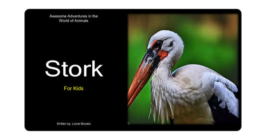 Awesome Adventures in the World of Animals Storck