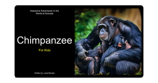 Awesome Adventures in the World of Animals Chimpanzee