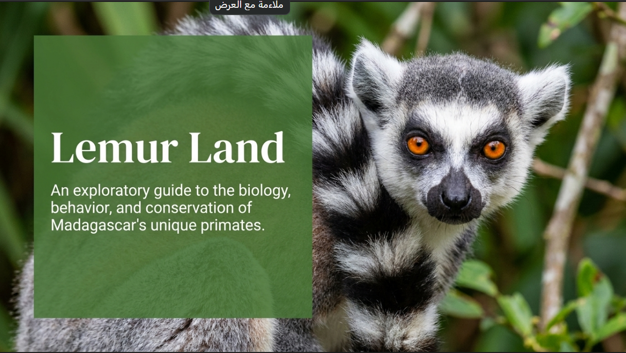Awesome Adventures in the World of Animals Lemur