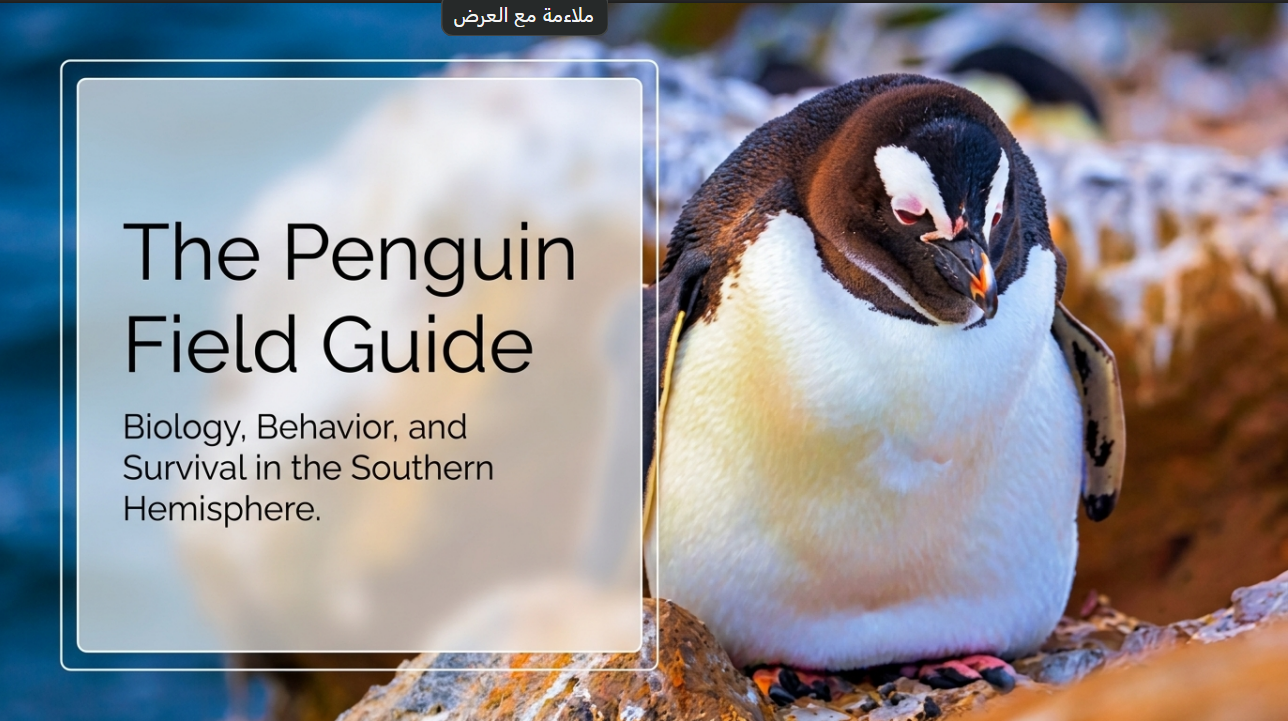 Awesome Adventures in the World of Animals Penguin